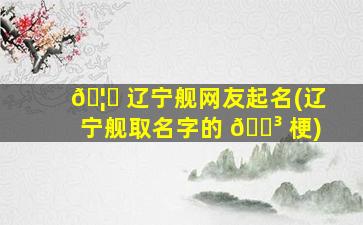 🦈 辽宁舰网友起名(辽宁舰取名字的 🐳 梗)